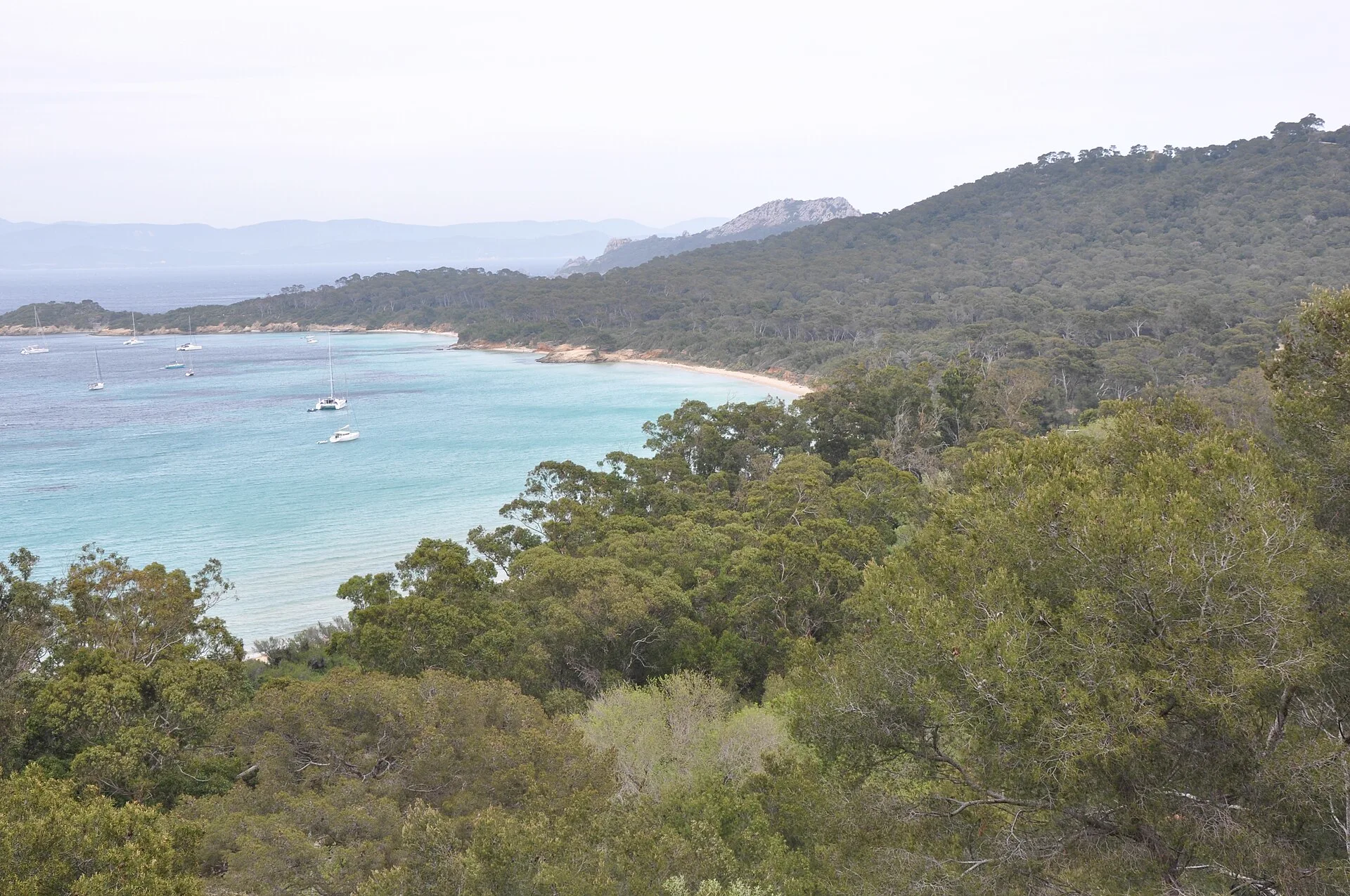 Baie turquoise de Porquerolles bordée de forêt, cœur de parc national
