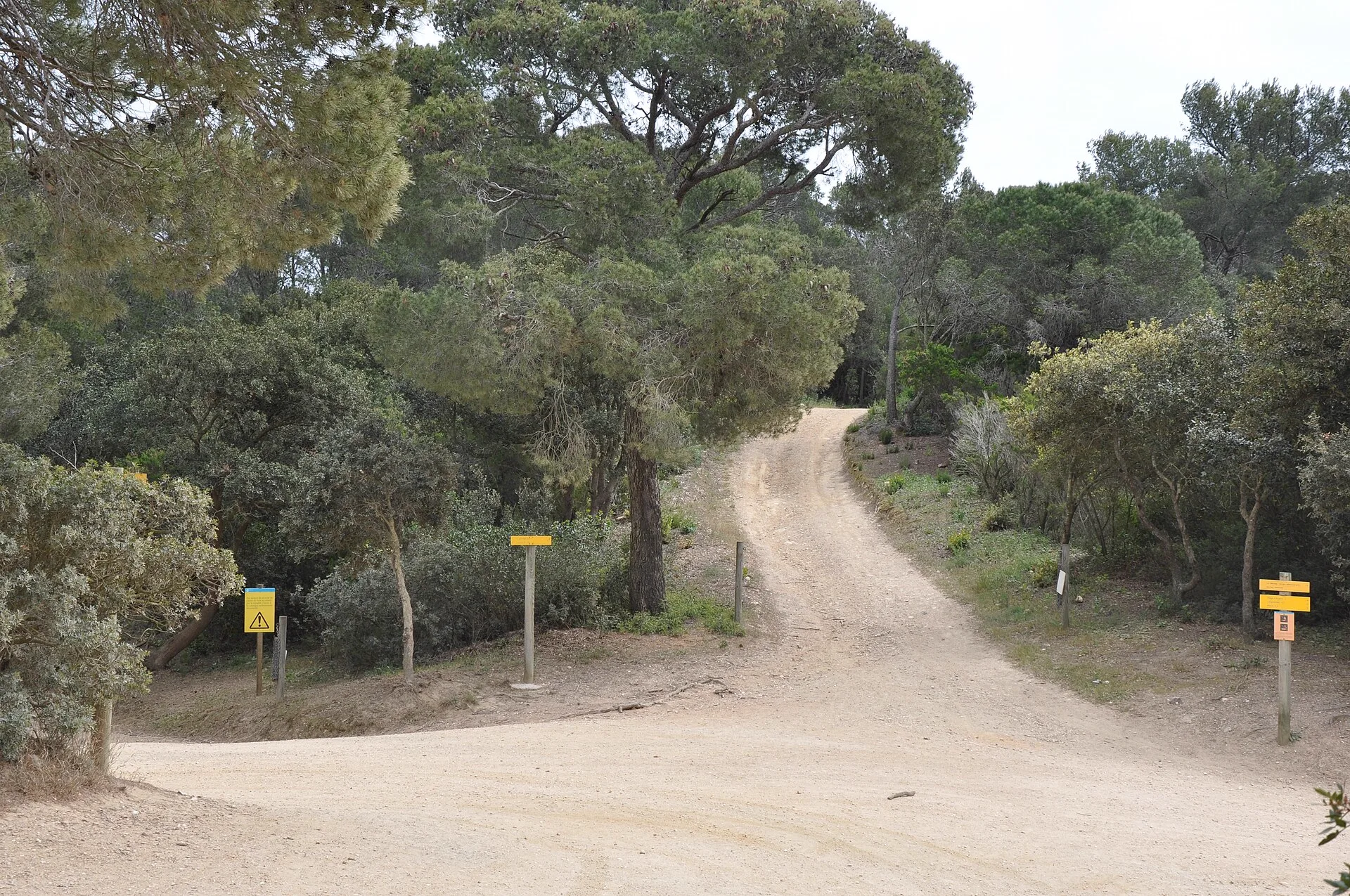 Croisement de sentiers balisés dans la forêt de Porquerolles