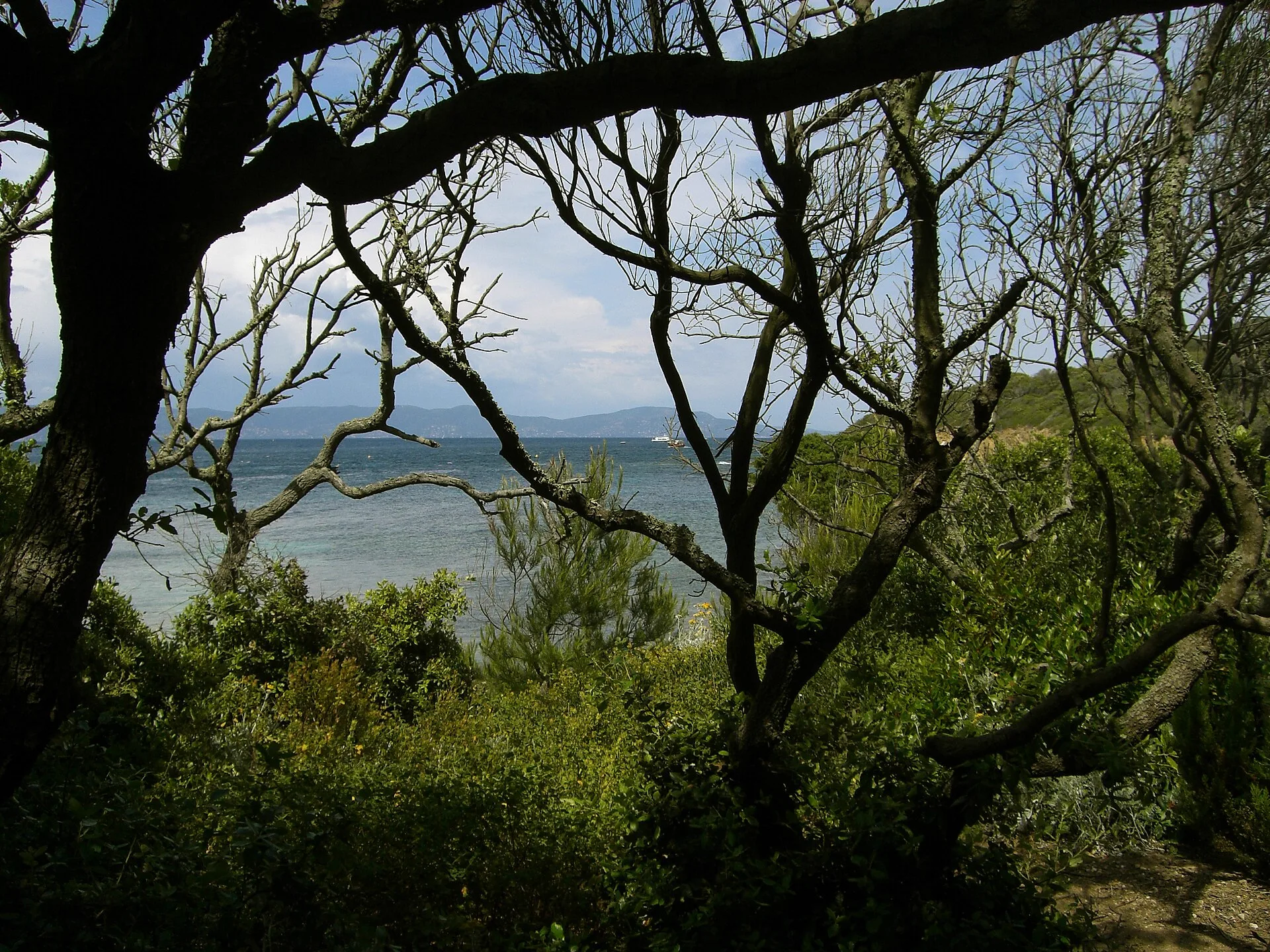 Nature préservée du littoral de Port-Cros