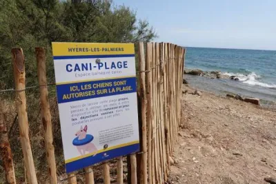 Cani-plage: zone réservée aux chiens