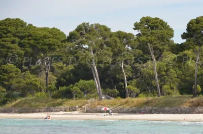 Plage de l'Estagnol