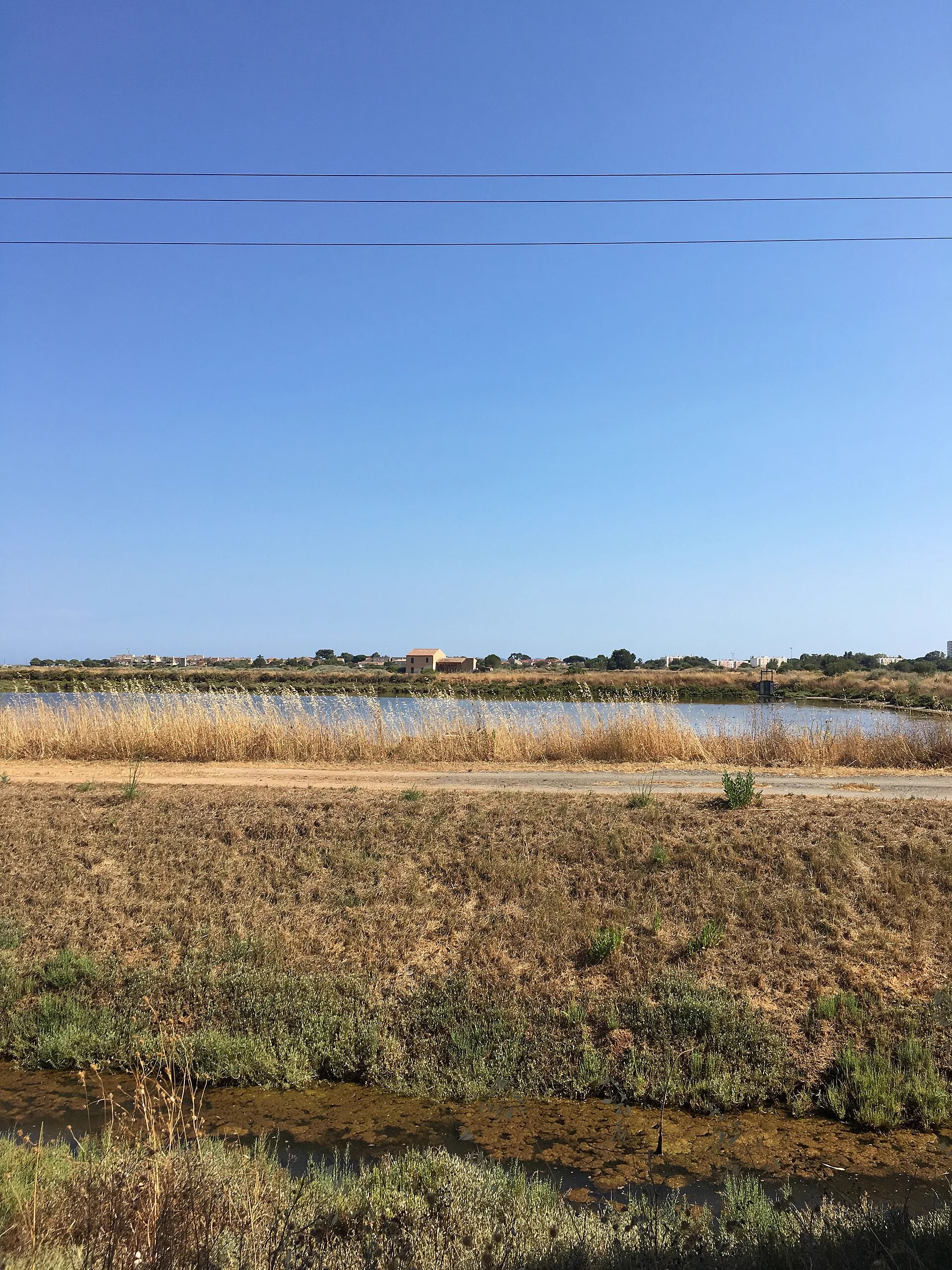 Étangs et roselières des Vieux Salins d'Hyères