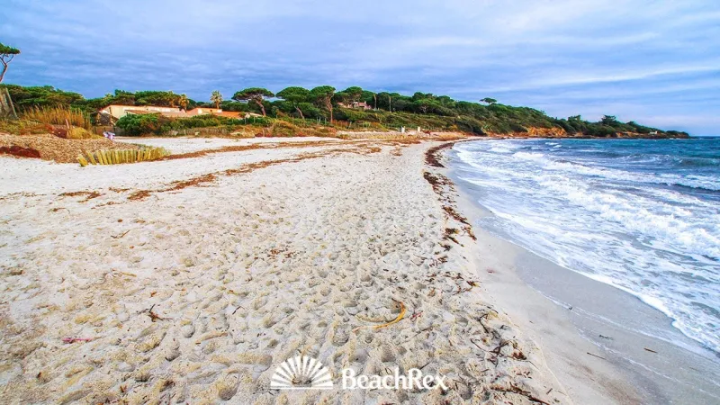 Plage des salins
