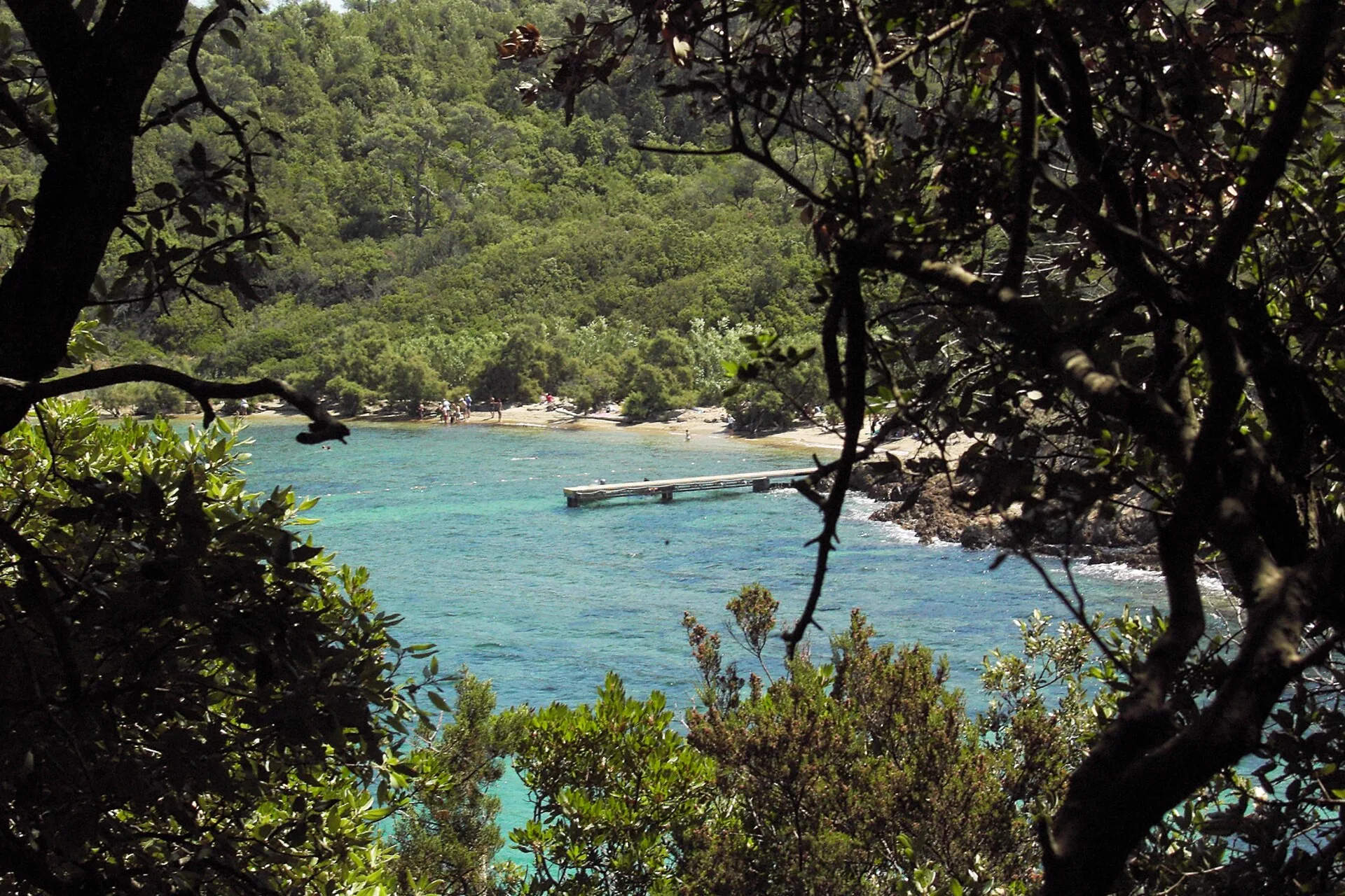 La crique de la Palud à Port-Cros, départ du sentier sous-marin