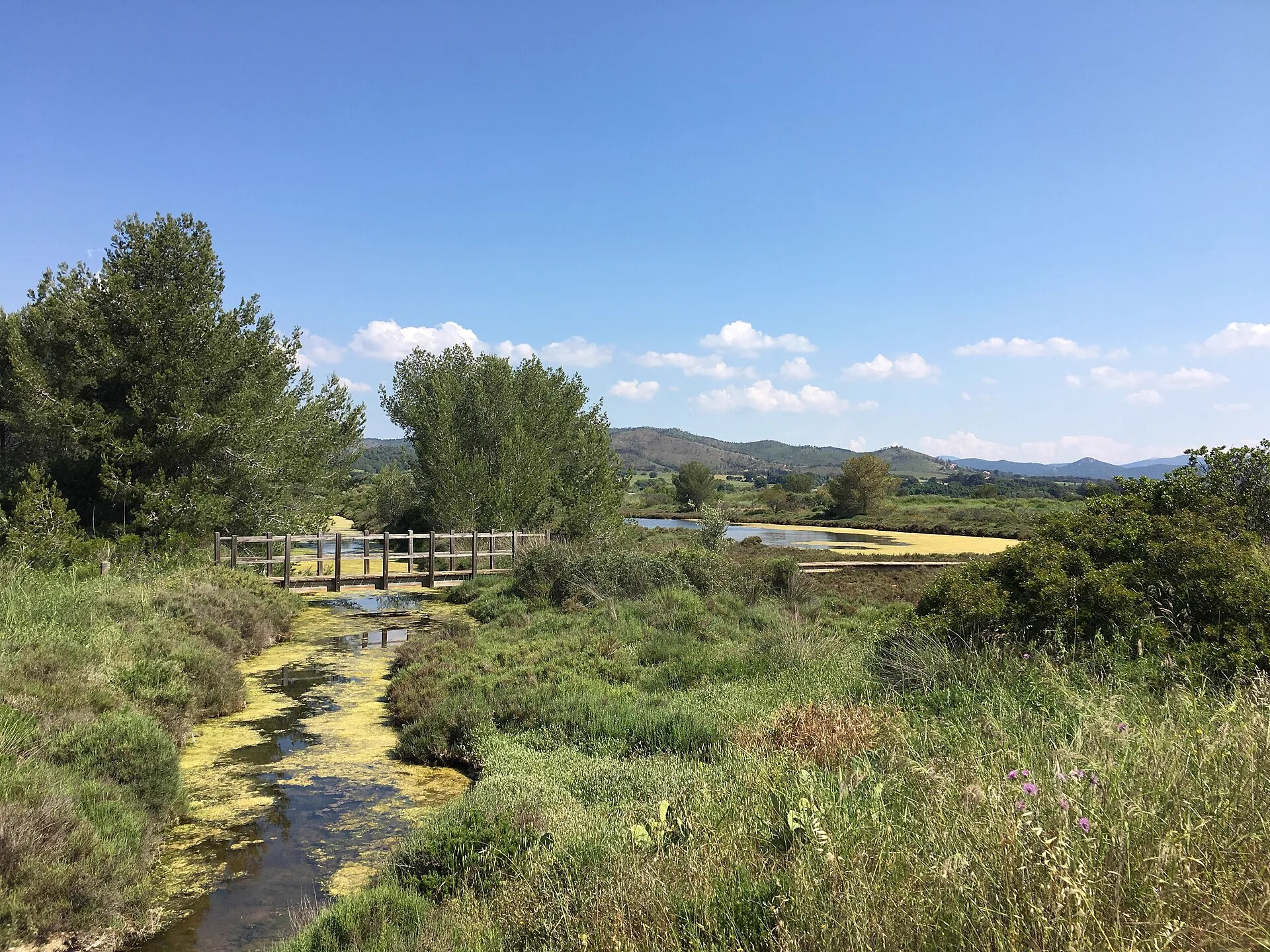 Plage des Vieux Salins — Hyères