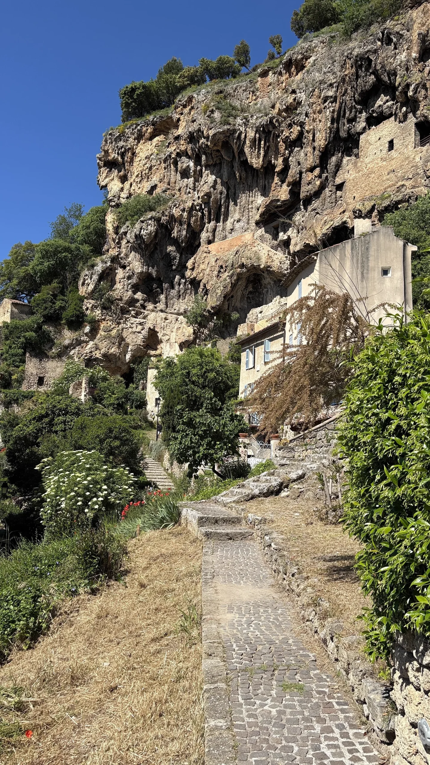 La falaise de tuf et ses habitations troglodytes au-dessus de Cotignac